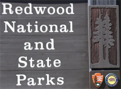 Redwood Hwy - 101